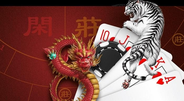 Các cách chơi rồng hổ chi tiết nhất 